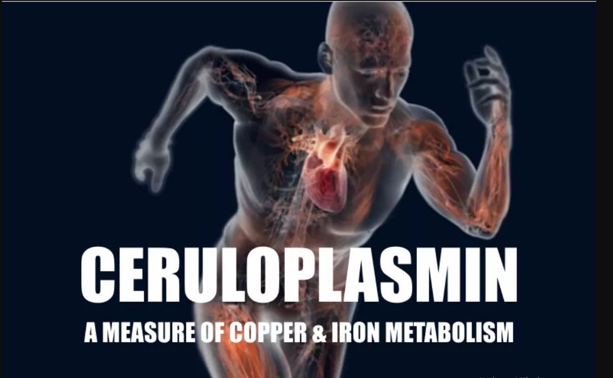 CERULOPLASMIN – PHƯƠNG PHÁP ĐO SỰ TRAO ĐỔI SẮT VÀ ĐỒNG